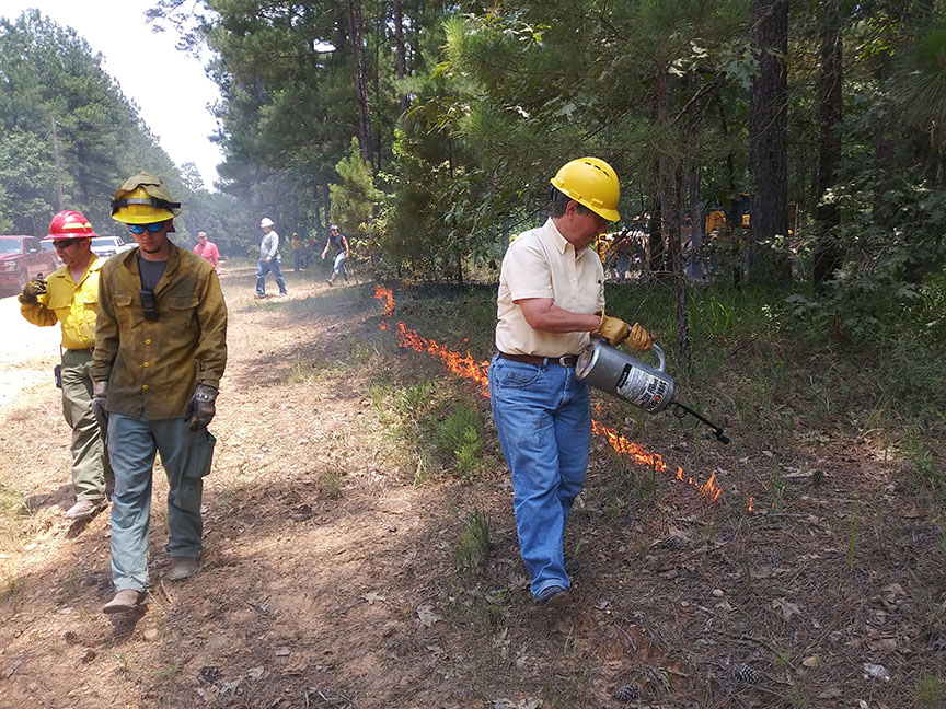 Prescribed burn workshop enables landowners to ‘put more fire on the ground’